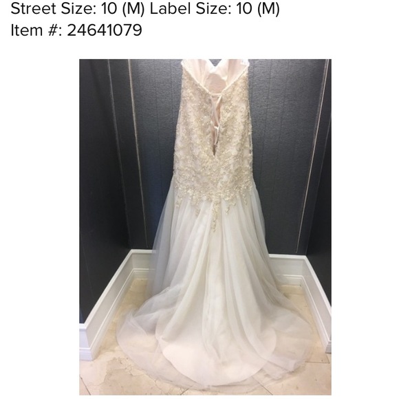 Maggie Sottero Wedding Dress - Picture 8 of 9